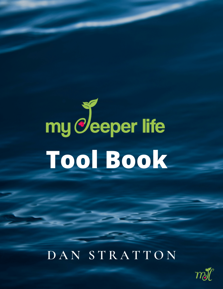 My Deeper Life Tool Book cover — Dan Stratton